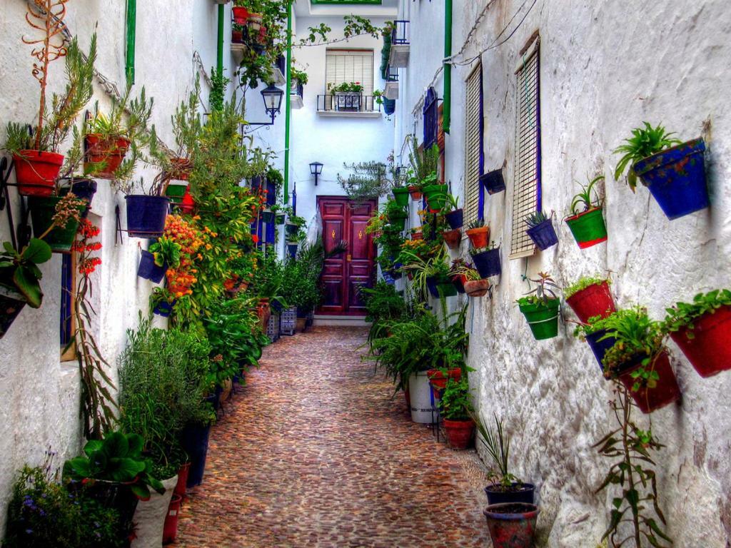 El Patio Dona Julia Apartment Casares Bagian luar foto