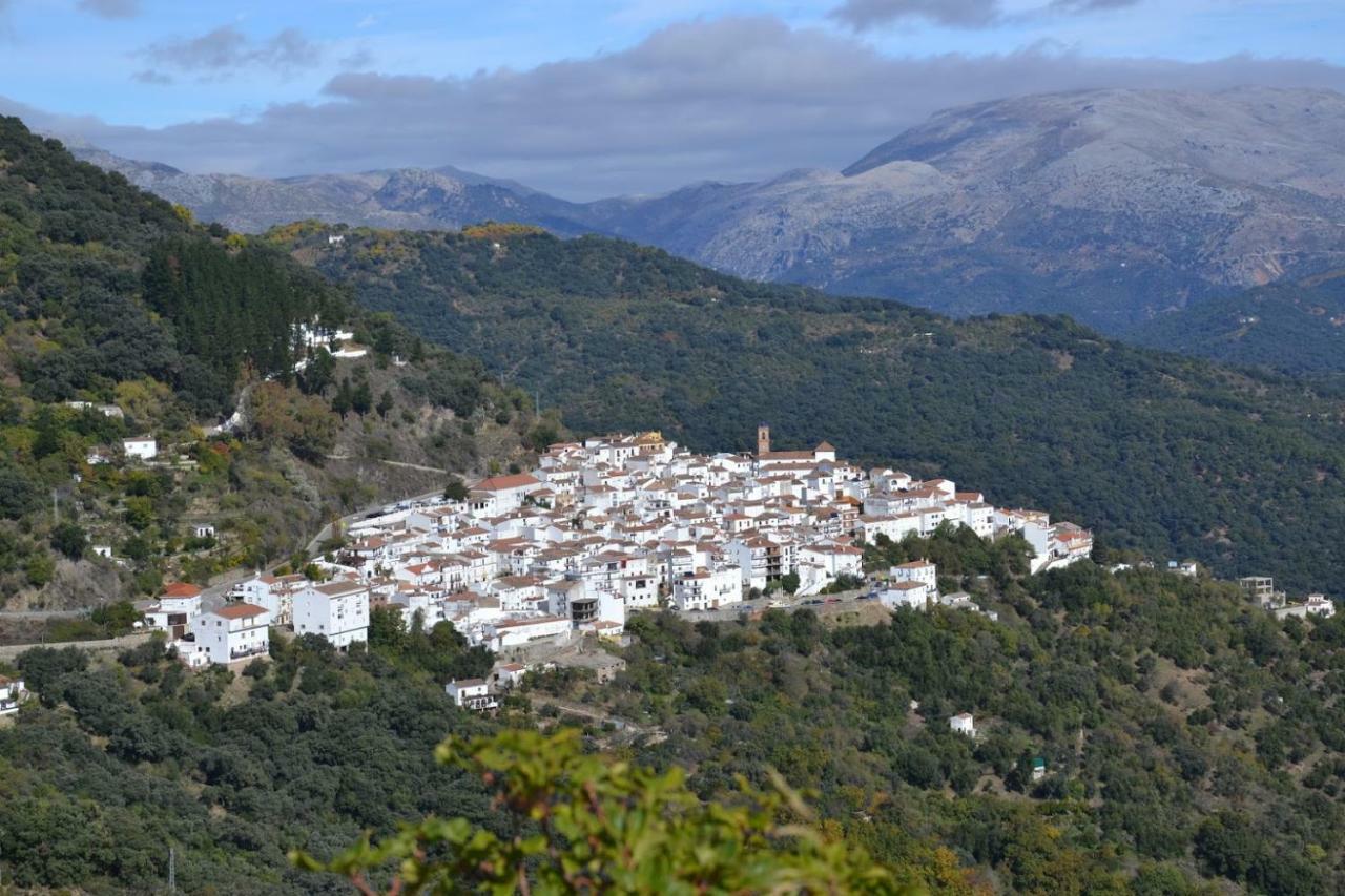 El Patio Dona Julia Apartment Casares Bagian luar foto